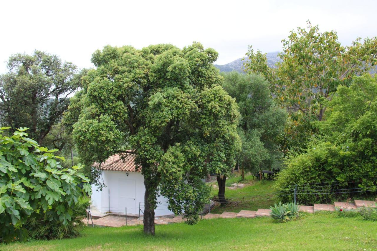 Finca El Campo Algeciras Buitenkant foto